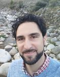 Specification and Automated Analysis of Inter-Parameter Dependencies in Web APIs - arXiv
