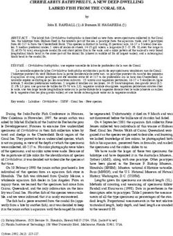 CIRRHILABRUS BATHYPHILUS, A NEW DEEP-DWELLING