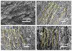 Vertically Aligned and Interconnected Graphite and Graphene Oxide Networks Leading to Enhanced Thermal Conductivity of Polymer Composites - MDPI
