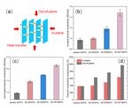 Vertically Aligned and Interconnected Graphite and Graphene Oxide Networks Leading to Enhanced Thermal Conductivity of Polymer Composites - MDPI