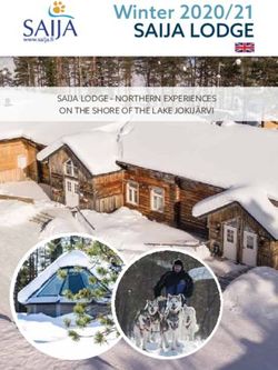 SAIJA LODGE Winter 2020/21 - SAIJA LODGE - NORTHERN EXPERIENCES ON THE SHORE OF THE LAKE JOKIJÄRVI