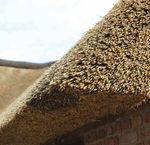 County Thatch Insurance Policy - County Insurance Services