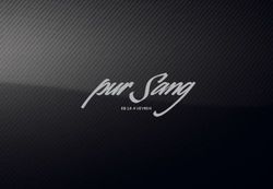 Bugatti Veyron 16.4 2018