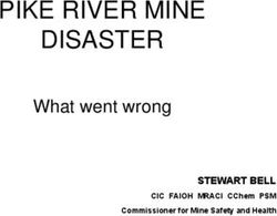 PIKE RIVER MINE DISASTER - What went wrong STEWART BELL