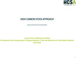 HIGH CARBON STOCK APPROACH - HCSA PEER REVIEW REPORT Company Name: Goodhope Asia Holdings