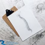 Summary guidelines and recommendations for a complete return to practise of chiropractors in the context of a pandemic - COVID-19