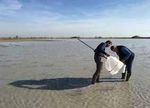CLISWELN Climate Services for the Water-Energy-Land- Food Nexus - Helmholtz-Zentrum Hereon