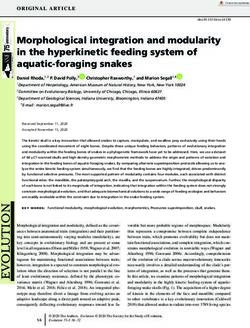 Morphological integration and modularity in the hyperkinetic feeding system of aquatic-foraging snakes