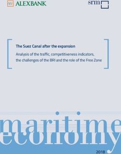 The Suez Canal after the expansion Analysis of the traffic, competitiveness indicators, the challenges of the BRI and the role of the Free Zone - SRM