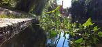 Per- and polyfluoroalkyl substances (PFAS) of possible concern in the aquatic environment - europa.eu