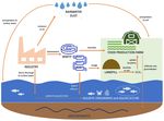 Per- and polyfluoroalkyl substances (PFAS) of possible concern in the aquatic environment - europa.eu