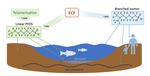 Per- and polyfluoroalkyl substances (PFAS) of possible concern in the aquatic environment - europa.eu