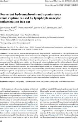 Recurrent hydronephrosis and spontaneous renal rupture caused by lymphoplasmacytic inflammation in a cat