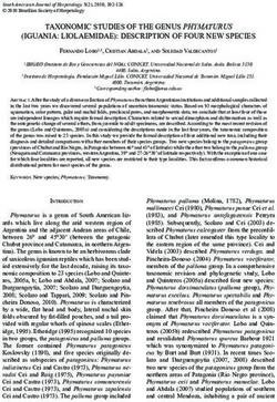 TAXONOMIC STUDIES OF THE GENUS PHYMATURUS (IGUANIA: LIOLAEMIDAE): DESCRIPTION OF FOUR NEW SPECIES - CONICET DIGITAL