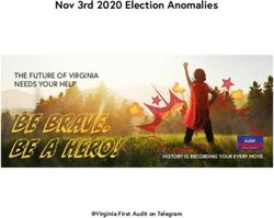 Nov 3rd 2020 Election Anomalies - THE FUTURE OF VIRGINIA NEEDS YOUR HELP - Virginians For America First