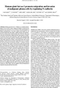 Human giant larvae 1 promotes migration and invasion of malignant glioma cells by regulating N cadherin
