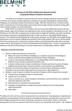 Pathways to the SDGs Collaborative Research Action Scoping Workshop Framework Document