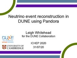 Neutrino event reconstruction in DUNE using Pandora - Leigh Whitehead ICHEP 2020 for the DUNE Collaboration