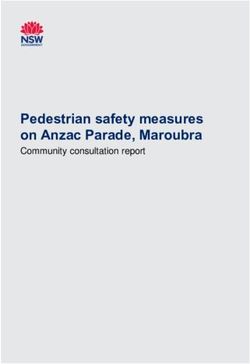 Pedestrian safety measures on Anzac Parade, Maroubra - Community consultation report