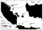 Morphotype diversity of Prorocentrum lima in the western part of Indonesian waters - Smujo