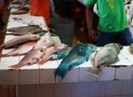 Costing Methodology for Fiji's National Adaptation Plan - August 2020 - NAP ...