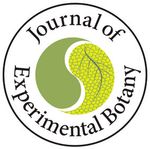 Are cyclic plant and animal behaviours driven by gravimetric mechanical forces?