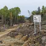 735-kV Micoua-Saguenay Line - Progress of clearing operations and start of construction - Hydro-Québec