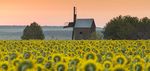 Kansas Cancer Prevention and Control Plan 2017-2021