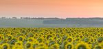 Kansas Cancer Prevention and Control Plan 2017-2021