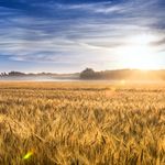 Kansas Cancer Prevention and Control Plan 2017-2021