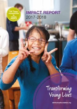 Transforming Young Lives - IMPACT REPORT 2017-2018 - DM Thomas Foundation for Young People
