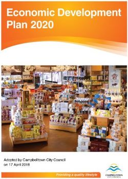 2020 CAMPBELLTOWN ECONOMIC DEVELOPMENT PLAN