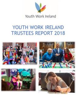 YOUTH WORK IRELAND TRUSTEES REPORT 2018