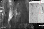 INFLUENCE OF DIFFERENT TYPES OF CEMENTED CARBIDE BLADES AND COATING THICKNESS ON STRUCTURE AND PROPERTIES OF TIN/ALTIN AND TIALN/A-C:N COATINGS ...