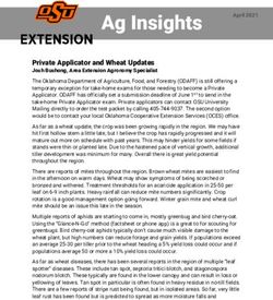Ag Insights - Oklahoma State University Extension