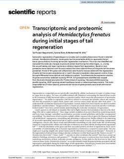 Transcriptomic and proteomic analysis of Hemidactylus frenatus during initial stages of tail regeneration