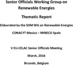 Senior Officials Working Group on Renewable Energies Thematic Report - Elaborated by the SOM WG on Renewable Energies CONACYT Mexico - MINECO ...