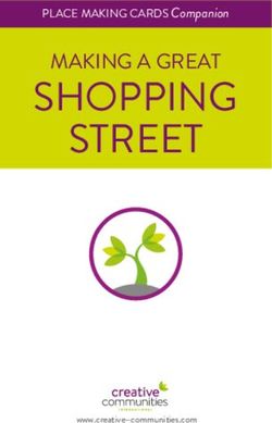 SHOPPING MAKING A GREAT - STREET