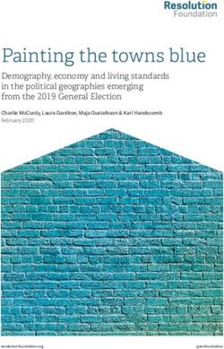 Painting the towns blue - Demography, economy and living standards in the political geographies emerging from the 2019 General Election ...
