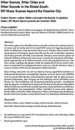 Other Scenes, Other Cities and Other Sounds in the Global South: DIY Music Scenes beyond the Creative City1 - Journal of Cultural Management and ...