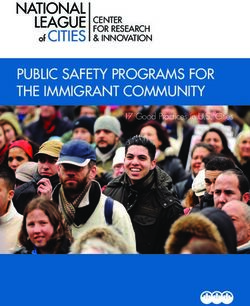 PUBLIC SAFETY PROGRAMS FOR THE IMMIGRANT COMMUNITY - CENTER FOR RESEARCH & INNOVATION