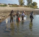 Citizen Science Programs at Environmental Agencies: Case Studies October 2020 - Environmental Law Institute