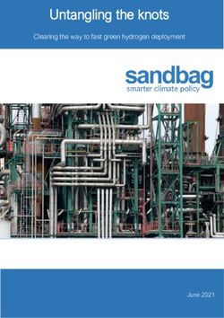 Untangling the knots Clearing the way to fast green hydrogen deployment - June 2021 - Sandbag Climate ...