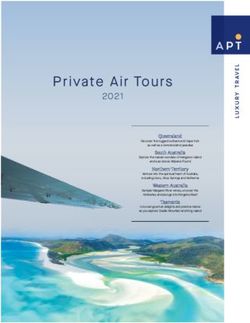 PRIVATE AIR TOURS 2021 - FLYCRUISE