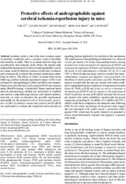 Protective effects of andrographolide against cerebral ischemia reperfusion injury in mice