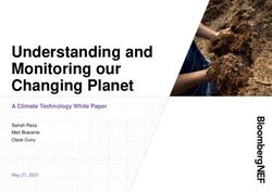 Understanding and Monitoring our Changing Planet - A Climate Technology White Paper