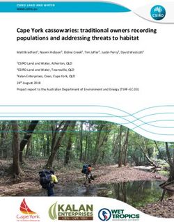 Cape York cassowaries: traditional owners recording populations and addressing threats to habitat