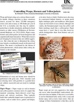 Controlling Wasps, Hornets and Yellowjackets - Entomology