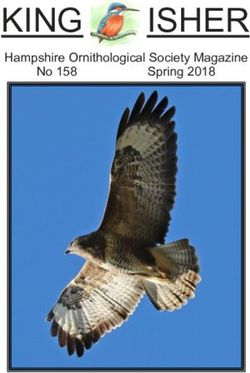 KING ISHER Hampshire Ornithological Society Magazine No158 Spring2018