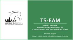 TS-EAM Trauma Sensitive Equine Assisted Mindfulness for Cancer Patients with Post-Traumatic Stress - HETI 2021 SEOUL